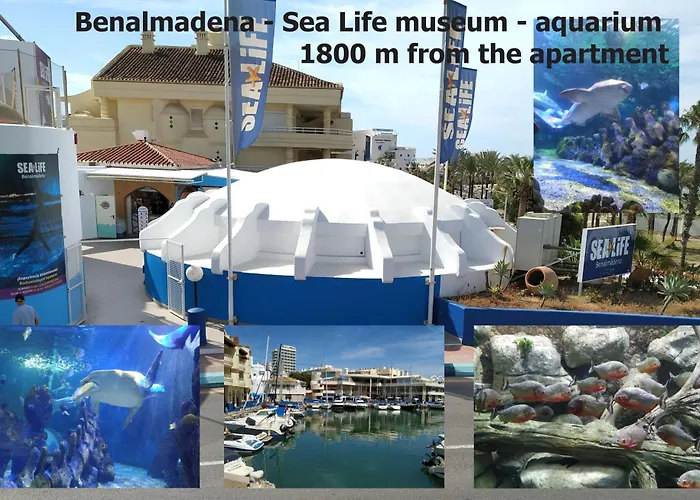 Carihuela Luxus Apartment